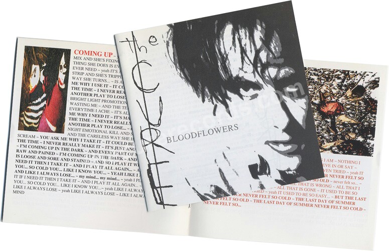 The Cure · Bloodflowers [Promo] - CD LP Japan Polydor