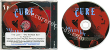 The perfect boy (mix 13) (issued 2008). 1 track. UK issue with Irish sticker on back. Matrix reads "PERFECTBOY1 01". - Thanks to alovetocure.