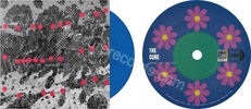 Warsong: Troxy live 2024 / (no side) (issued 2025). One-sided. Blue vinyl. Number 011. Artist: Sam Coldy. Medium: Digital print. - Thanks to War Child.